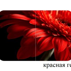 БОСТОН - 2 опоры Триумф в Губахе - gubaha.mebel24.online | фото 50
