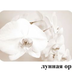 БОСТОН - 3 Стол раздвижной 1100/1420 опоры Брифинг в Губахе - gubaha.mebel24.online | фото 26