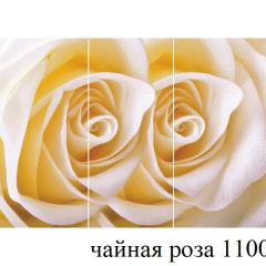 БОСТОН - 3 Стол раздвижной 1100/1420 опоры Брифинг в Губахе - gubaha.mebel24.online | фото 47
