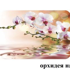 БОСТОН - 3 Стол раздвижной 1100/1420 опоры Брифинг в Губахе - gubaha.mebel24.online | фото 65