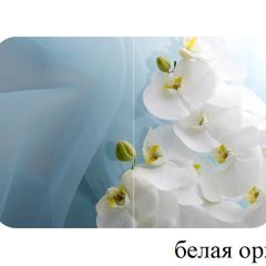 БОСТОН опоры Триумф в Губахе - gubaha.mebel24.online | фото 13