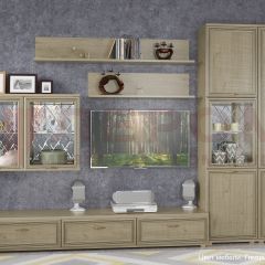 Гостиная Карина Композиция 1 (Гикори Джексон светлый) в Губахе - gubaha.mebel24.online | фото