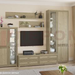 Гостиная Карина Композиция 12 (Гикори Джексон светлый) в Губахе - gubaha.mebel24.online | фото