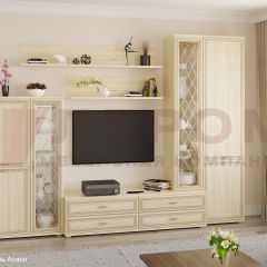 Гостиная Карина Композиция 12 (Ясень Асахи) в Губахе - gubaha.mebel24.online | фото