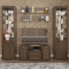 Гостиная Карина Композиция 13 (Акация Молдау) в Губахе - gubaha.mebel24.online | фото