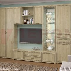 Гостиная Карина Композиция 21 (Гикори Джексон светлый) в Губахе - gubaha.mebel24.online | фото 6