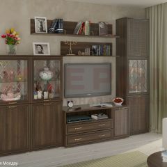 Гостиная Карина Композиция 22 (Акация Молдау) в Губахе - gubaha.mebel24.online | фото