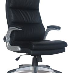 Кресло офисное BRABIX "Fregat EX-510" (рециклированная кожа, черное) 530863 в Губахе - gubaha.mebel24.online | фото 1