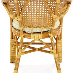 Кресло Пеланги 02/15 (Мёд) Подушка на молнии в Губахе - gubaha.mebel24.online | фото 3