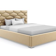 Кровать Коралл интерьерная +основание (120х200) в Губахе - gubaha.mebel24.online | фото 6