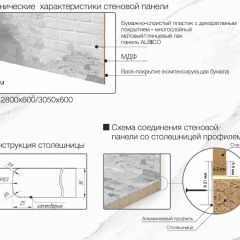 Кухонный фартук со столешницей (А-010) в едином стиле (3050 мм) в Губахе - gubaha.mebel24.online | фото 6