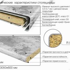 Кухонный фартук со столешницей (А-02) в едином стиле (3050 мм) в Губахе - gubaha.mebel24.online | фото 6