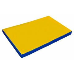 Мат гимнастический 2х1х0,1м цв. синий-желтый в Губахе - gubaha.mebel24.online | фото