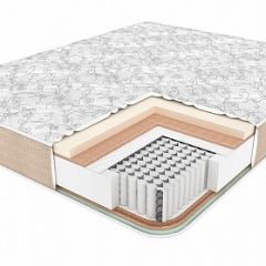 Матрас BioNative Family 40 УПРОЧНЕННЫЙ h220 в Губахе - gubaha.mebel24.online | фото