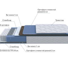 PROxSON Матрас Active Comfort M (Ткань Трикотаж Эко) 90x195 в Губахе - gubaha.mebel24.online | фото 7