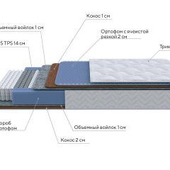 PROxSON Матрас Active Duo M/F (Ткань Трикотаж Эко) 160x195 в Губахе - gubaha.mebel24.online | фото 7