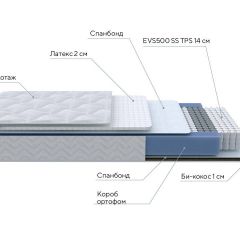 PROxSON Матрас Active Duo S/F (Ткань Трикотаж Эко) 160x190 в Губахе - gubaha.mebel24.online | фото 6