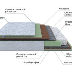 PROxSON Матрас Green M (Tricotage Dream) 80x190 в Губахе - gubaha.mebel24.online | фото 6