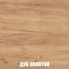 Шкаф 2-х створчатый МСП-1 (Дуб Золотой/Камень темный) в Губахе - gubaha.mebel24.online | фото 4