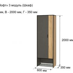 ОЛЬГА-ЛОФТ 3 Шкаф 2-х створчатый в Губахе - gubaha.mebel24.online | фото 4