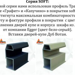 Шкаф-купе 1600 серии SOFT D6+D4+B2+PL2 (2 ящика+1штанга+1 полка) профиль «Капучино» в Губахе - gubaha.mebel24.online | фото 13