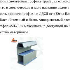 Шкаф-купе 1700 серии SILVER S1+S1+B2+PL2 (2 ящика+1 штанга+1 полка) профиль «Серебро» в Губахе - gubaha.mebel24.online | фото 4