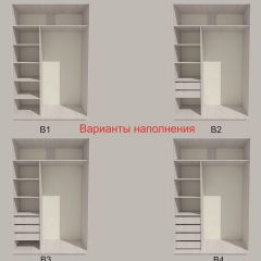 Шкаф-купе 1700 серии SILVER S1+S1+B2+PL2 (2 ящика+1 штанга+1 полка) профиль «Серебро» в Губахе - gubaha.mebel24.online | фото 5
