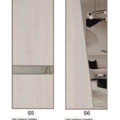 Шкаф-купе 1700 серии SILVER S1+S1+B2+PL2 (2 ящика+1 штанга+1 полка) профиль «Серебро» в Губахе - gubaha.mebel24.online | фото 11