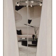 Шкаф-купе 1700 серии SILVER S1+S1+B2+PL2 (2 ящика+1 штанга+1 полка) профиль «Серебро» в Губахе - gubaha.mebel24.online | фото 12
