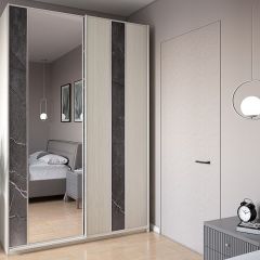 Шкаф-купе 1700 серии SILVER S3+S4+B2+PL4 (2 ящика+F обр.штанга) профиль «Серебро» в Губахе - gubaha.mebel24.online | фото