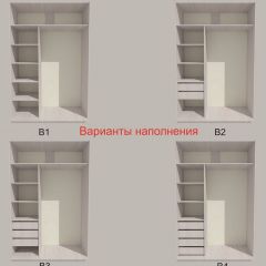 Шкаф-купе 1700 серии SILVER S3+S4+B2+PL4 (2 ящика+F обр.штанга) профиль «Серебро» в Губахе - gubaha.mebel24.online | фото 5