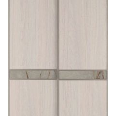 Шкаф-купе 1700 серии SILVER S3+S4+B2+PL4 (2 ящика+F обр.штанга) профиль «Серебро» в Губахе - gubaha.mebel24.online | фото 10