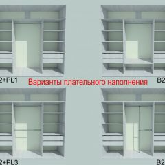 Шкаф-купе 1950 серии SILVER S3+S1+S3Z B22+PL2 (по 2 ящика лев/прав+1штанга+1 полка) профиль «Серебро» в Губахе - gubaha.mebel24.online | фото 6