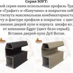 Шкаф-купе 2100 серии SOFT D5+D5+D5+B22+PL4 (по 2 ящика лев/прав+2штанги) профиль «Графит» в Губахе - gubaha.mebel24.online | фото 11
