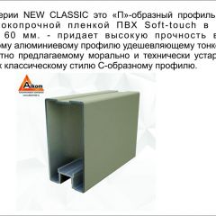 Шкаф-купе 2450 серии NEW CLASSIC K6Z+K1+K6+B22+PL1 (по 2 ящика лев/прав+1 штанга) профиль «Капучино» в Губахе - gubaha.mebel24.online | фото 17