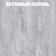 Шкаф-купе Бассо 1.0 (Дуб Крафт серый/Бетонный камень) 2 двери ЛДСП 1 зеркальная вставка в Губахе - gubaha.mebel24.online | фото 3