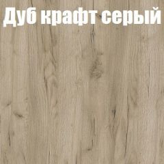 Шкаф-купе Бассо 1.0 (Дуб Крафт серый/Бетонный камень) 2 двери ЛДСП 1 зеркальная вставка в Губахе - gubaha.mebel24.online | фото 4