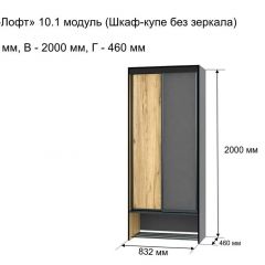 ОЛЬГА-ЛОФТ 10.1 Шкаф-купе без зеркала в Губахе - gubaha.mebel24.online | фото 3