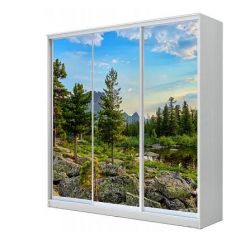 Шкаф-купе ХИТ 22-18-777 (620) в Губахе - gubaha.mebel24.online | фото