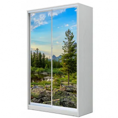 Шкаф-купе ХИТ 22-4-12-77 (420) в Губахе - gubaha.mebel24.online | фото 2