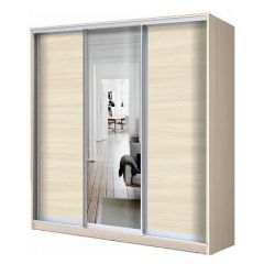 Шкаф-купе ХИТ 22-4-18-151 (420) в Губахе - gubaha.mebel24.online | фото 5