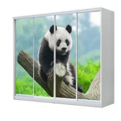 Шкаф-купе ХИТ 23-24/2-7777 (620) в Губахе - gubaha.mebel24.online | фото