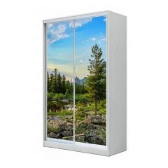 Шкаф-купе ХИТ 23-4-12/2-77 (420) в Губахе - gubaha.mebel24.online | фото