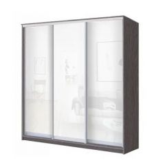 Шкаф-купе ХИТ 23-4-18/2-888 (420) в Губахе - gubaha.mebel24.online | фото 1