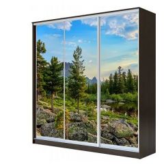 Шкаф-купе ХИТ 23-4-18-777 (420) в Губахе - gubaha.mebel24.online | фото 1