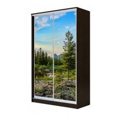 Шкаф-купе ХИТ 24-4-14-77 (420) в Губахе - gubaha.mebel24.online | фото