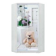 Шкаф-купе ХИТ-У-23-4-77 в Губахе - gubaha.mebel24.online | фото