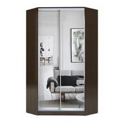 Шкаф-купе ХИТ-У-R-22-64-55 в Губахе - gubaha.mebel24.online | фото