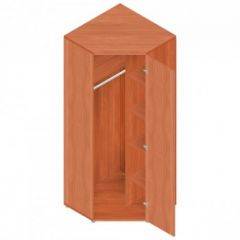 Шкаф для одежды "Референт" Р.Ш-10 в Губахе - gubaha.mebel24.online | фото