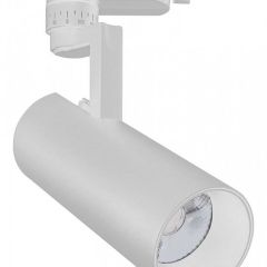 Светильник на штанге Escada 20029 20029TRA/01LED SWH в Губахе - gubaha.mebel24.online | фото